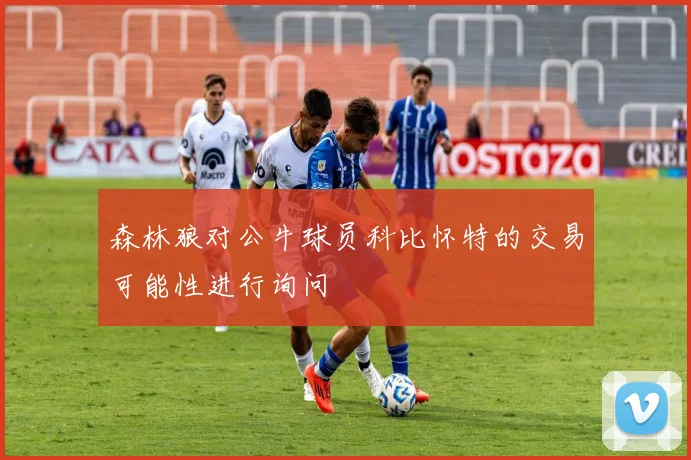 森林狼对公牛球员科比怀特的交易可能性进行询问